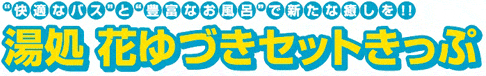 快適なバスと豊富なお風呂で新たな癒しを！！湯処 花ゆづきセットきっぷ