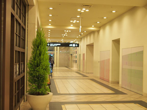 写真3